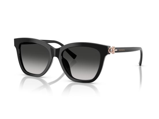 26SS 티파니앤코 선글라스 0TF4241D BLACK - TIFFANY & CO