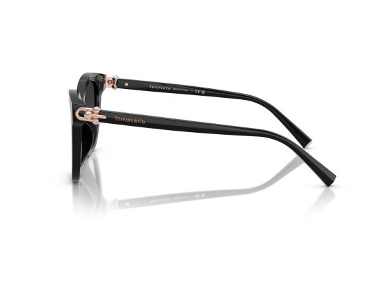 26SS 티파니앤코 선글라스 0TF4241D BLACK - TIFFANY & CO