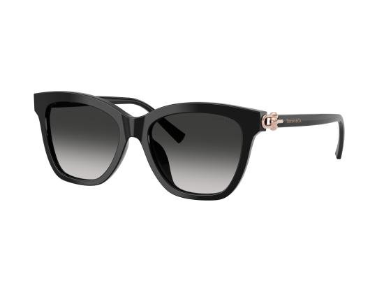 26SS 티파니앤코 선글라스 0TF4241D BLACK