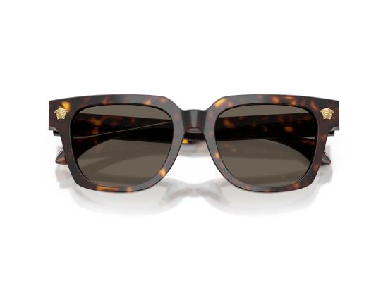 26FW 베르사체 선글라스 0VE4510U BROWN - VERSACE