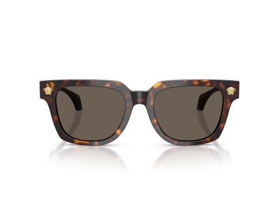 26FW 베르사체 선글라스 0VE4510U BROWN - VERSACE