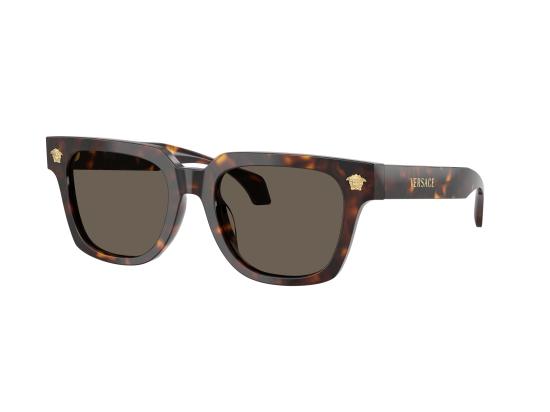 26FW 베르사체 선글라스 0VE4510U BROWN