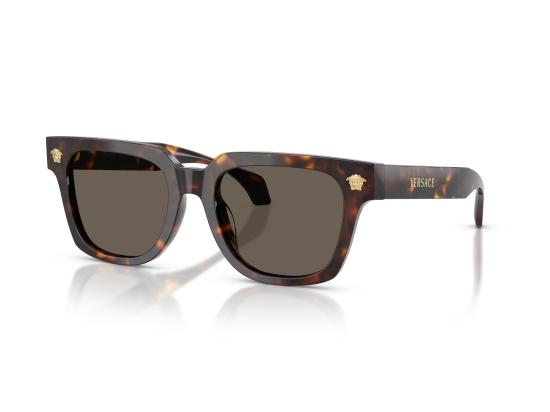 26FW 베르사체 선글라스 0VE4510U BROWN - VERSACE
