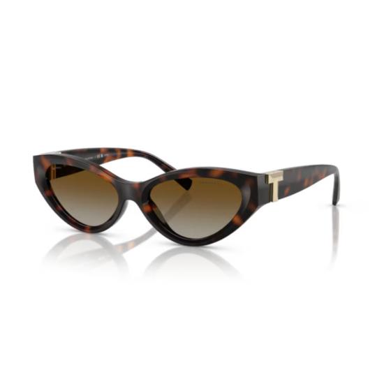 26FW 티파니앤코 선글라스 0TF4225U BROWN