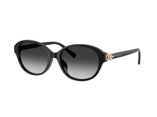 26FW 티파니앤코 선글라스 0TF4263D BLACK