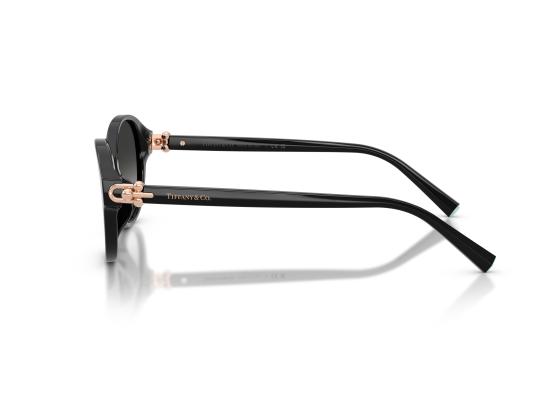 26FW 티파니앤코 선글라스 0TF4263D BLACK - TIFFANY & CO