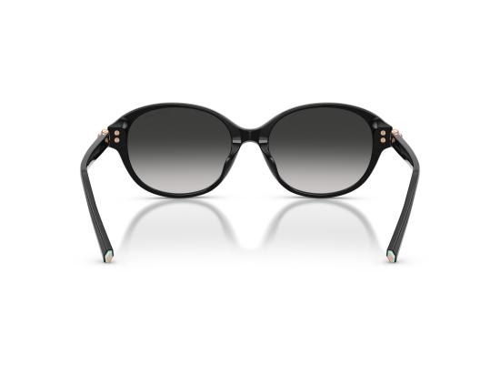 26FW 티파니앤코 선글라스 0TF4263D BLACK - TIFFANY & CO