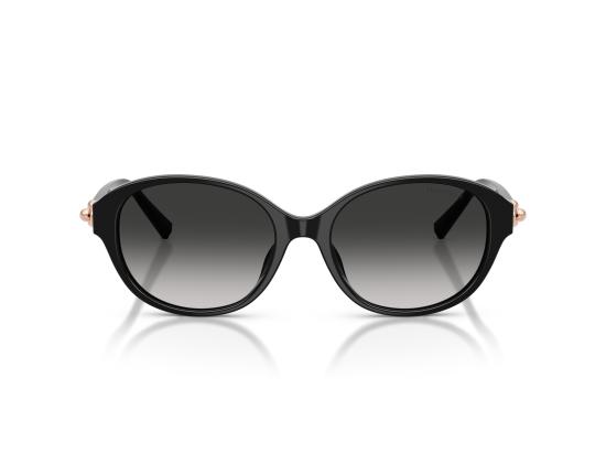 26FW 티파니앤코 선글라스 0TF4263D BLACK - TIFFANY & CO