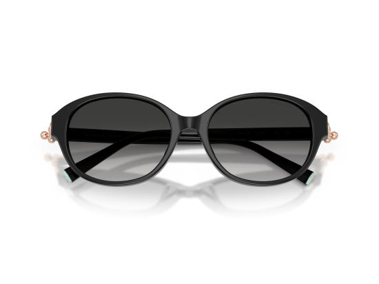 26FW 티파니앤코 선글라스 0TF4263D BLACK - TIFFANY & CO