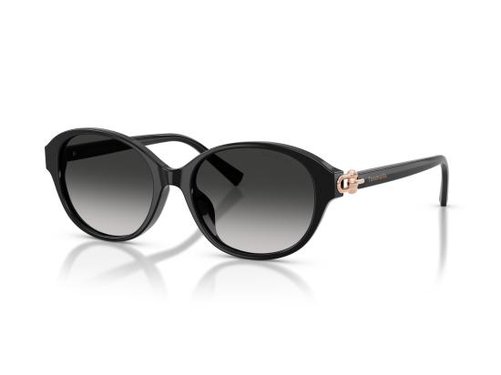 26FW 티파니앤코 선글라스 0TF4263D BLACK - TIFFANY & CO