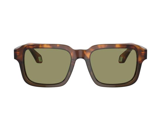 26FW 조르지오 아르마니 선글라스 0AR8194U BROWN - GIORGIO ARMANI