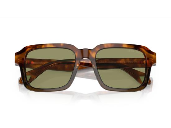 26FW 조르지오 아르마니 선글라스 0AR8194U BROWN - GIORGIO ARMANI