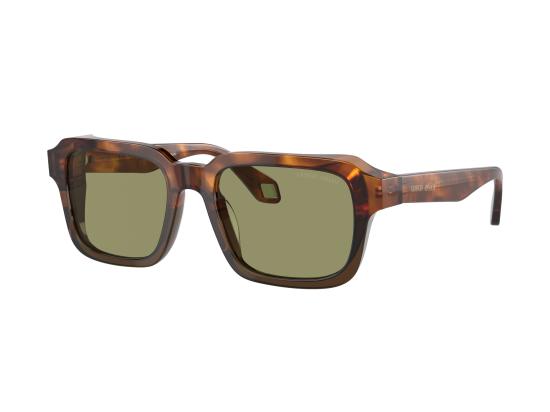 26FW 조르지오 아르마니 선글라스 0AR8194U BROWN