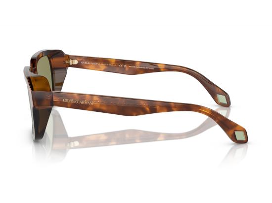 26FW 조르지오 아르마니 선글라스 0AR8194U BROWN - GIORGIO ARMANI