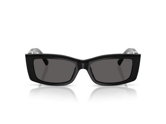 26FW 티파니앤코 선글라스 0TF4240U BLACK - TIFFANY & CO
