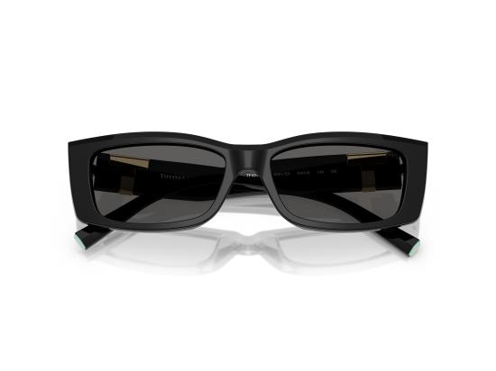 26FW 티파니앤코 선글라스 0TF4240U BLACK - TIFFANY & CO