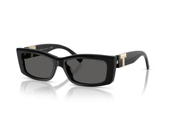 26FW 티파니앤코 선글라스 0TF4240U BLACK - TIFFANY & CO