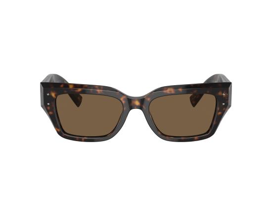 26SS 돌체앤가바나 선글라스 0DG4462 BROWN - DOLCE & GABBANA