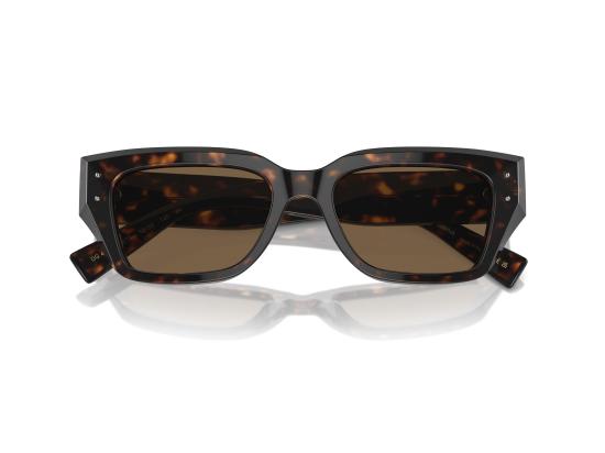 26SS 돌체앤가바나 선글라스 0DG4462 BROWN - DOLCE & GABBANA