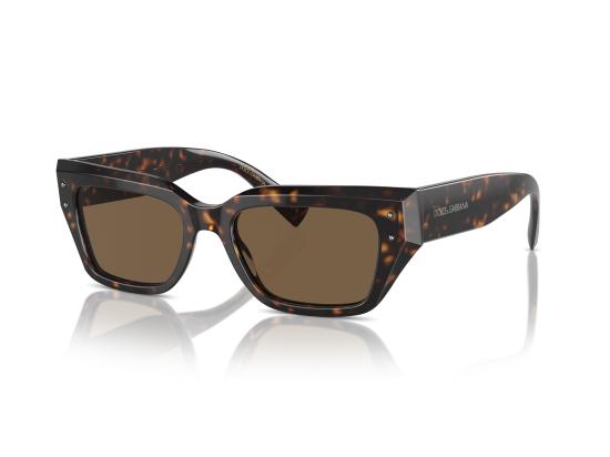 26SS 돌체앤가바나 선글라스 0DG4462 BROWN - DOLCE & GABBANA
