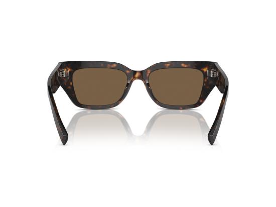 26SS 돌체앤가바나 선글라스 0DG4462 BROWN - DOLCE & GABBANA