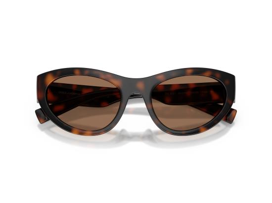 26FW 돌체앤가바나 선글라스 0DG6207 BROWN - DOLCE & GABBANA