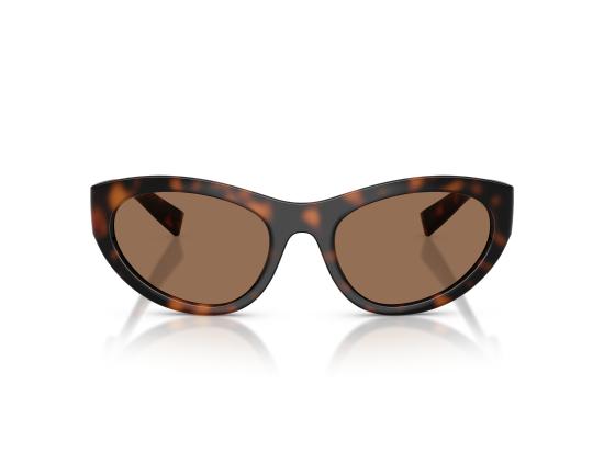 26FW 돌체앤가바나 선글라스 0DG6207 BROWN - DOLCE & GABBANA