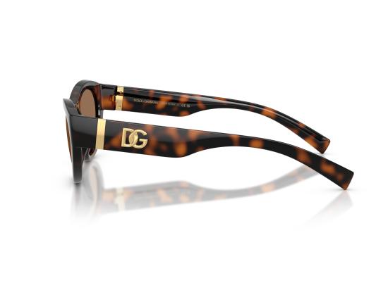 26FW 돌체앤가바나 선글라스 0DG6207 BROWN - DOLCE & GABBANA