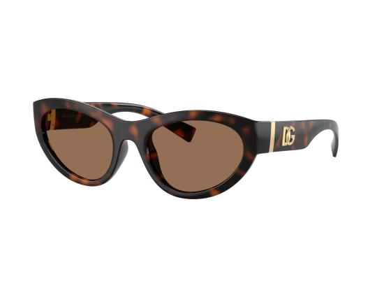 26FW 돌체앤가바나 선글라스 0DG6207 BROWN