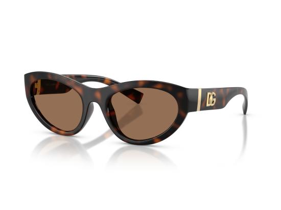 26FW 돌체앤가바나 선글라스 0DG6207 BROWN - DOLCE & GABBANA