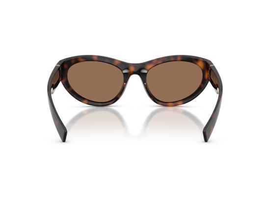26FW 돌체앤가바나 선글라스 0DG6207 BROWN - DOLCE & GABBANA