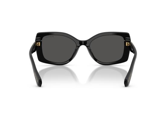 26FW 스와로브스키 선글라스 0SK6058U BLACK - SWAROVSKI