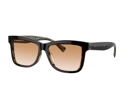 26SS 브루넬로 쿠치넬리 선글라스 0BC4009S BLACK
