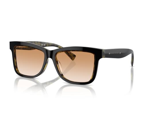 26SS 브루넬로 쿠치넬리 선글라스 0BC4009S BLACK - BRUNELLO CUCINELLI