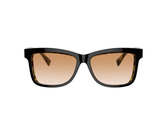 26SS 브루넬로 쿠치넬리 선글라스 0BC4009S BLACK - BRUNELLO CUCINELLI