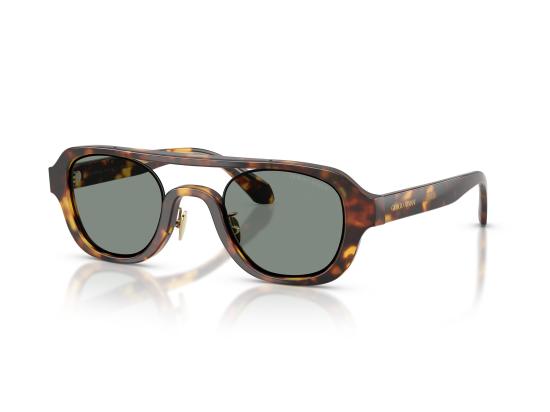26FW 조르지오 아르마니 선글라스 0AR8247 BROWN - GIORGIO ARMANI