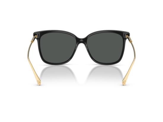 26FW 베르사체 선글라스 0VE4507U BLACK - VERSACE