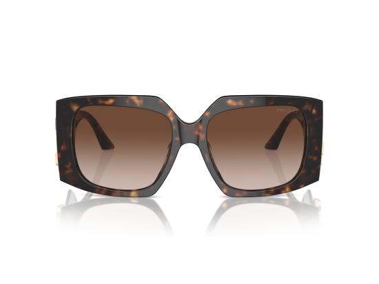 26FW 지미추 선글라스 0JC5006U BROWN - JIMMY CHOO