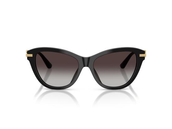 26FW 돌체앤가바나 선글라스 0DG4534 BLACK - DOLCE & GABBANA