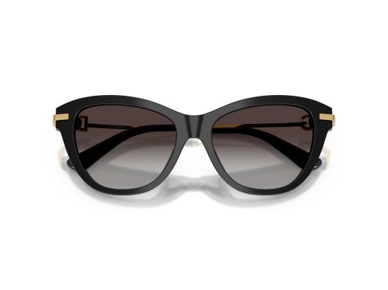 26FW 돌체앤가바나 선글라스 0DG4534 BLACK - DOLCE & GABBANA