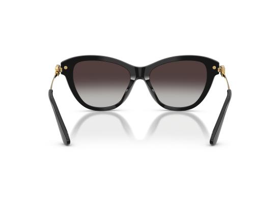 26FW 돌체앤가바나 선글라스 0DG4534 BLACK - DOLCE & GABBANA