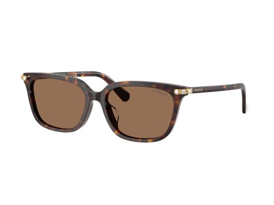 26FW 스와로브스키 선글라스 0SK6064D BROWN