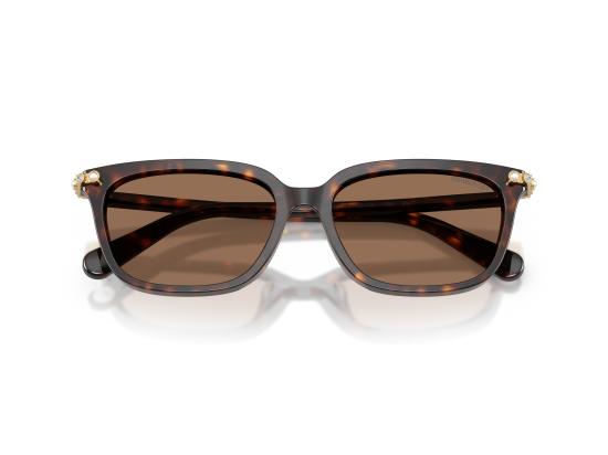 26FW 스와로브스키 선글라스 0SK6064D BROWN - SWAROVSKI