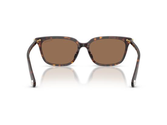 26FW 스와로브스키 선글라스 0SK6064D BROWN - SWAROVSKI