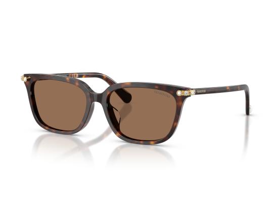 26FW 스와로브스키 선글라스 0SK6064D BROWN - SWAROVSKI