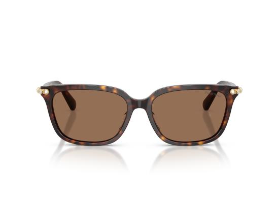 26FW 스와로브스키 선글라스 0SK6064D BROWN - SWAROVSKI