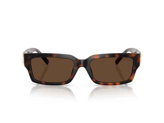 26FW 티파니앤코 선글라스 0TF4226U BROWN - TIFFANY & CO
