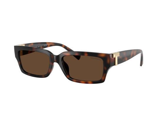 26FW 티파니앤코 선글라스 0TF4226U BROWN