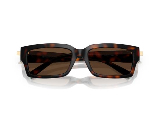 26FW 티파니앤코 선글라스 0TF4226U BROWN - TIFFANY & CO