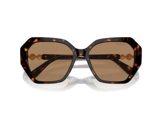 26FW 스와로브스키 선글라스 0SK6017 BROWN - SWAROVSKI